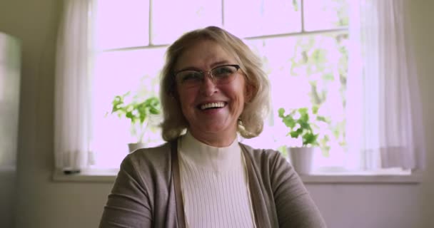 Headshot portrait femme mature parler en utilisant appel vidéo — Video