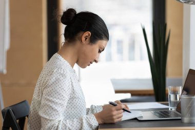 Genç melez Hintli kadın kağıt planlamacısıyla notları kontrol ediyor..