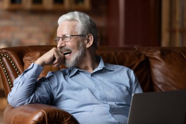 Mutlu bir gülüş at, olgun adam dizüstü bilgisayarla eğleniyor.