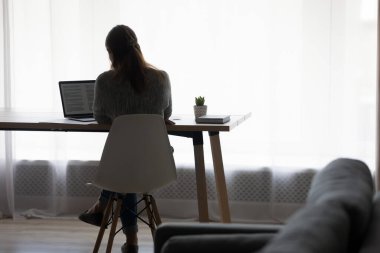 Bilgisayar üzerinde çalışan konsantre genç bayan serbest çalışan.