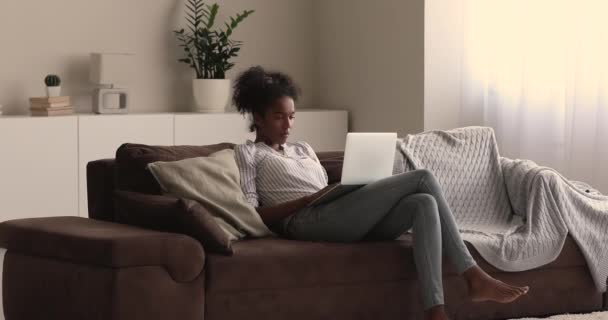 アメリカ人女性休みます上のノートブックでソファにラップ — ストック動画