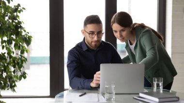 Çeşitli çok ırklı meslektaşlar ofiste dizüstü bilgisayarla iş birliği yaparlar.