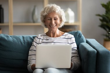 Kanepede oturup dizüstü bilgisayar kullanan mutlu yaşlı bir kadın..