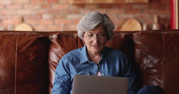 Mujer mayor en gafas celebran las buenas noticias leídas en el ordenador portátil — Vídeos de Stock