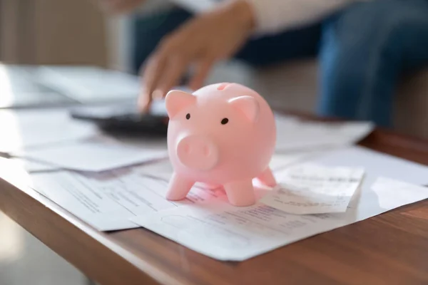 Close up woman calculating and saving money, pink piggy bank