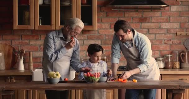 Счастливый пожилой мужчина наслаждается приготовлением пищи с сыном и внуком. — стоковое видео
