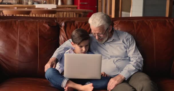 Concentrated small boy using computer application with old grandfather. — Stock Video