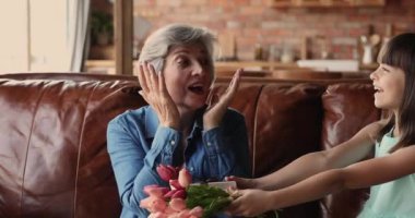 Büyükanne, küçük torun lale çiçeklerinden alıyor.