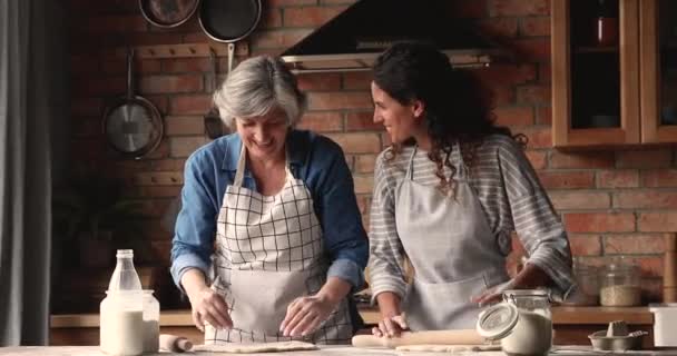 Två generationer kvinnor lagar mat tillsammans i köket — Stockvideo