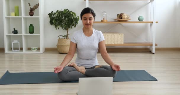 Mujer de etnia india joven consciente disfrutando de la clase de yoga en línea. — Vídeos de Stock