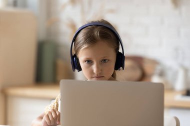 Akıllı küçük kız internette çalışıyor.