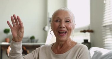 Mutlu yaşlı emekli kadın video görüşmesi yapıyor..