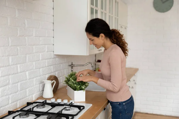 Mutlu ev hanımı mutfağı aşk dolu saksılarla süslüyor. — Stok fotoğraf