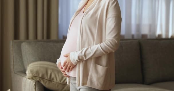 Mulher grávida de pé sozinha na sala de estar acariciando sua barriga — Vídeo de Stock