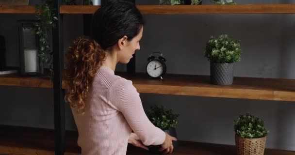 Housewife creates cosiness puts on shelves flower pots and candlestick — Stock Video