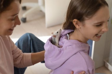 Mutlu anne ve genç kız evcil fareyle oynuyorlar..