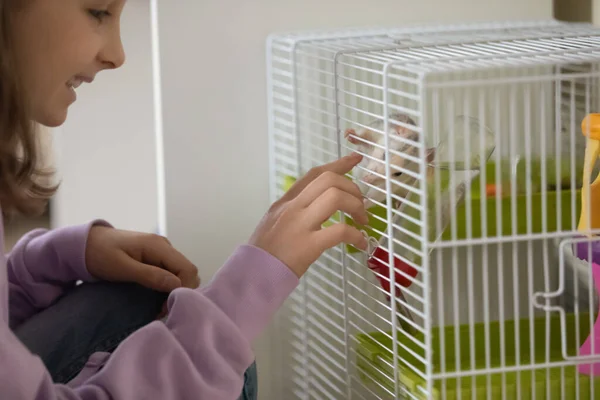 Happy young teen girl playing with domesticated rat. — Stock Photo, Image