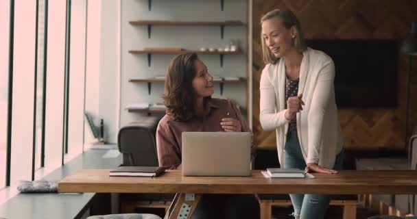 Stagiair kijk op laptop vraagt over corporate app aan collega — Stockvideo