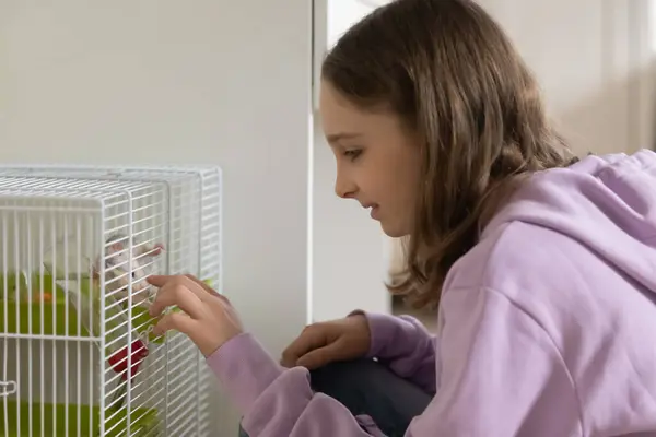 Gelukkig speels tiener kind meisje spelen met gedomesticeerde rat. — Stockfoto