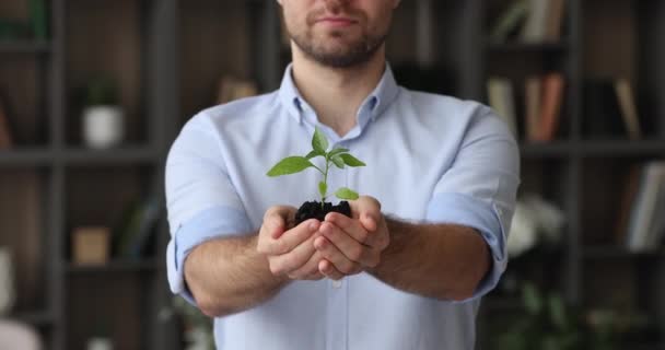 Man houdt in handen spruit van groene plant in de bodem — Stockvideo