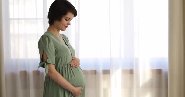 Álmodozó szerető terhes nő fogja a kezét a nagy hason. — Stock videók