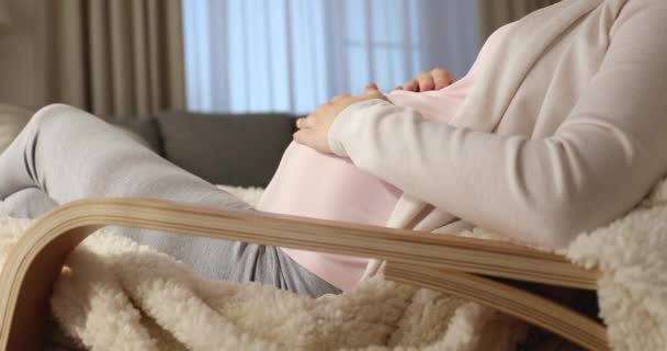 Lycklig ung gravid kvinna smeka stor mage. — Stockvideo