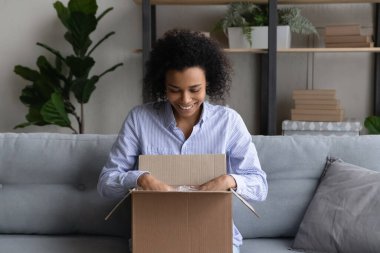 Heyecanlı çift ırklı kadın internet üzerinden kutu alışverişi yapıyor.