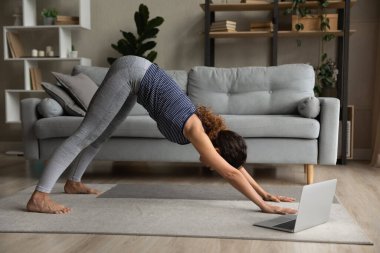 İnternette yoga yapan bir kadın, köpek egzersizi yapıyor.