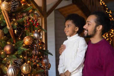 Mutlu çift ırklı baba ve oğul köknar ağacını süslüyor.