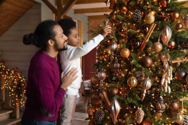 Küçük melez evlat, babanın köknar ağacını süslemesine yardım et.