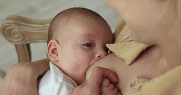 Mother breastfeeding newborn baby, close up view — Stock Video