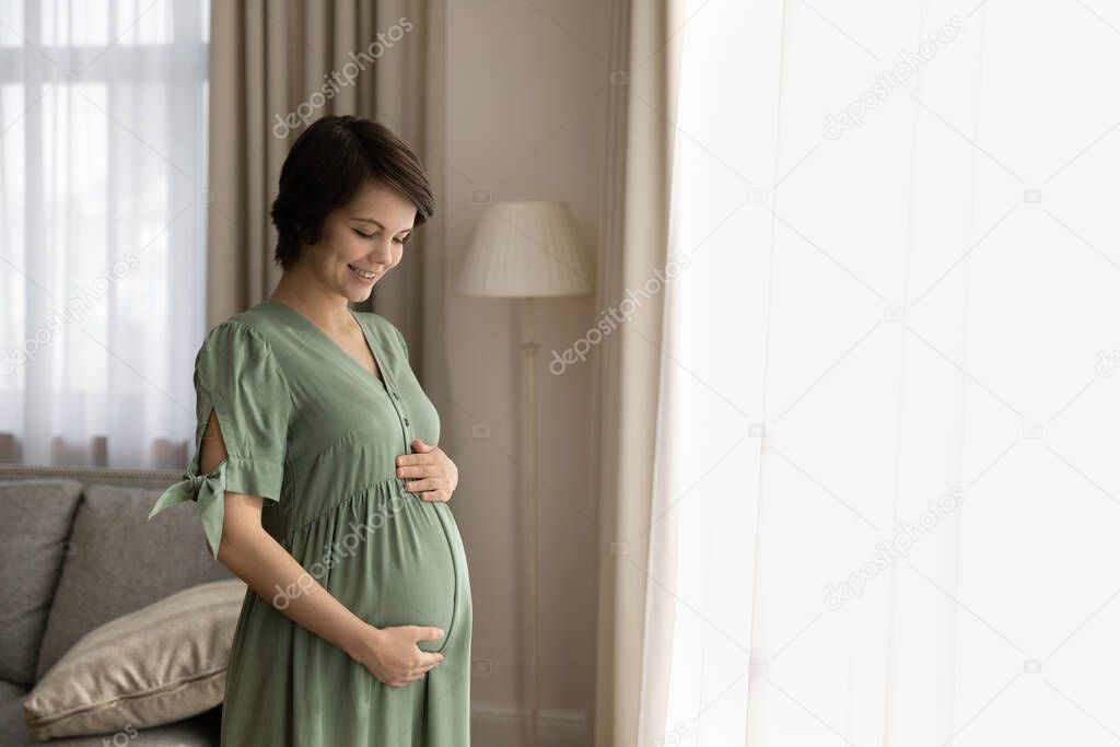 Loving expectant mother stand by window caressing baby bump
