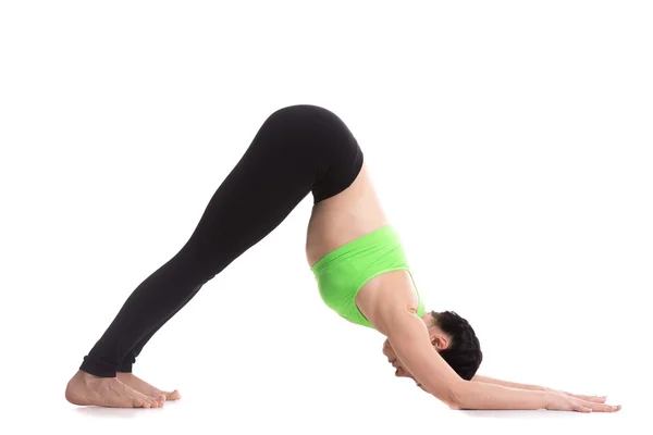 Pose de yoga delfín — Foto de Stock