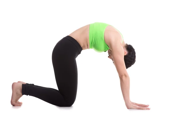 Kat yoga pose — Stockfoto