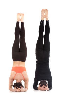 Supported headstand yoga asana in pair  clipart