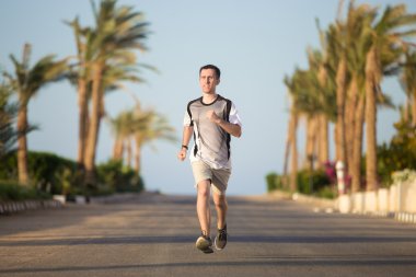 Palmiye ağaçları ile birlikte çalışan