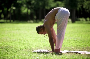 Uttanasana pose in park