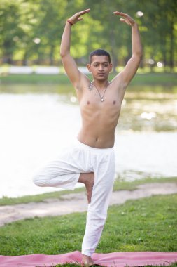 Vrikshasana pose in park