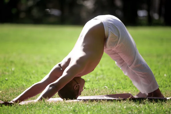 Downward facing dog yoga pose in park — 图库照片