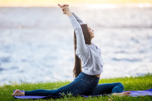 One legged king pigeon pose on riverbank — Stock Photo, Image