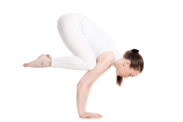 Vinç (karga) yoga Pose — Stok fotoğraf