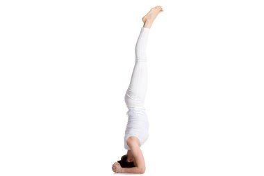 Salamba sirsasana I yoga pose clipart