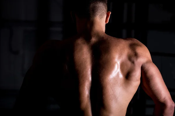 Muscular bodybuilder guy back — Stock Photo, Image