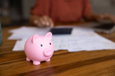Kadın muhasebecinin çalışma masasında seramik pembe domuz kumbarası. Ev sahibi hesaplama işini arka planda yapıyor, bir yığın finansal döküman üzerinde hesap makinesi kullanıyor. Tasarruf, gelir ve bağımsızlığın sembolü