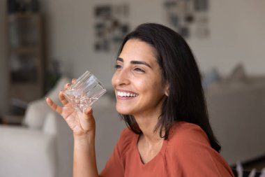 Neşeli, mutlu, genç İspanyol bir kadın evinde soğuk su içiyor, serinletici içkinin tadını çıkarıyor, bardağı tutuyor, mükemmel dişlek bir gülümsemeyle başka tarafa bakıyor, sağlıklı enerji seviyesini ve su dengesini koruyor.