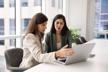 Bilgisayarda proje üzerinde çalışan, ekranı işaret eden, toplantı masasında konuşan çeşitli genç bayan meslektaşlar. Çevrimiçi iş ürünleri yöneticisi danışma uzmanı