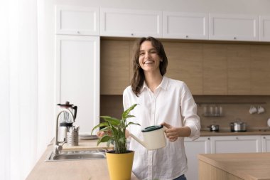 Eko yaşam tarzı portresi. Neşeli genç bayan ev hanımı, rahat bir ev mutfağında rahat bir şekilde poz veriyor. Ev yeşilliği bakımından uzak kameraya bakıyor. Kapalı alanda bahçe işlerinin keyfini çıkarın.