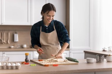 Aşçılık tutkusu. İlham verici genç kadın ev hanımı evde kolay pişirilen tatlılardan zevk alır. Aile yemeği için şekilli kurabiyeler hazırlar. Çağdaş mutfağın iç kısımlarında tatlı hamurdan leziz tatlar yaratırlar.