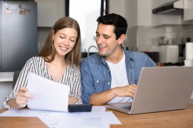 Mutfaktaki aile finansmanlarını yöneten, dizüstü bilgisayarla, hesap makinesiyle masaya oturan, belgeleri, gelir listesini inceleyen, e-banka aracılığıyla işlem yapan, gelir artışından memnun olan bir çift. Bütçe, başarı.