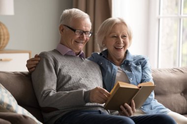 Samimi edebiyat akşamı. Mutlu yaşlı çift sakin bir aile uykusunda rahat koltukta kağıt kitap okuyor. Yaşlı kocayı seven karı koca kucaklaşması mizahi klasik romana kahkaha atar favori hobinin zevkini paylaşır